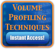 Volume Profiling Techniques
