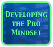 Developing the Professional Mindset