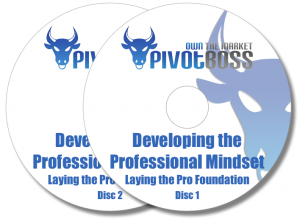 Developing the Professional Mindset