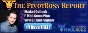 PivotBoss Report